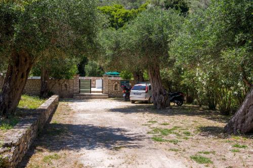 livadi-parking