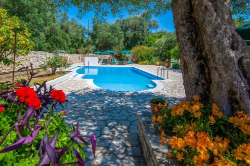 livadi-pool-flowers-2